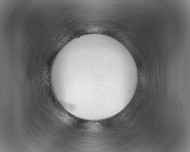 X0000080170322200701051638