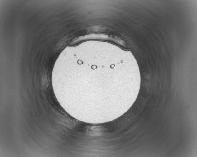 X0000080170324200701051638