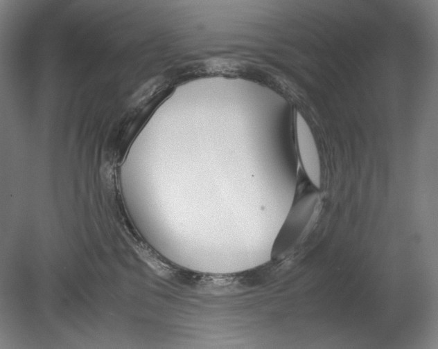 X0000080170329200701051638