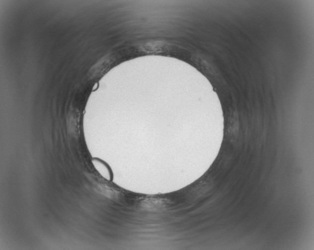 X0000080170332200701051638