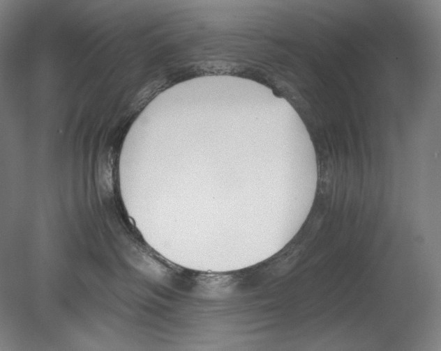 X0000080170334200701051638