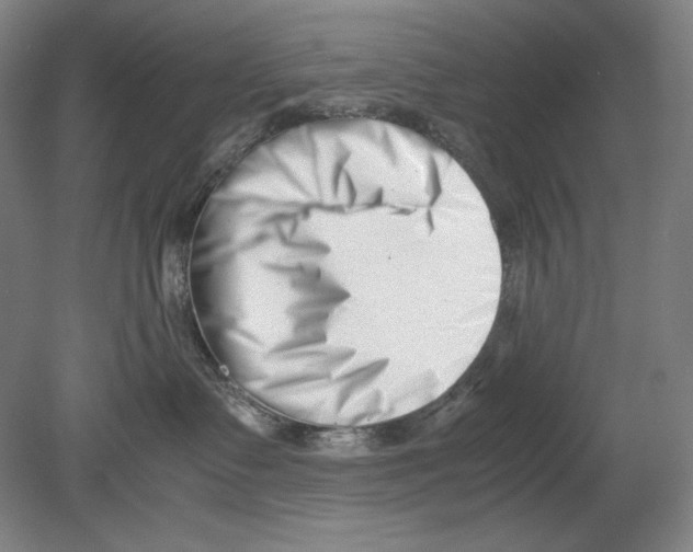 X0000080170335200701051638