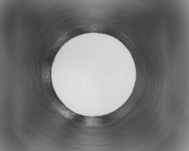 X0000080170336200701051637