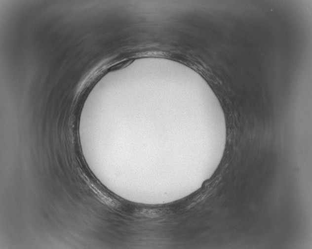 X0000080170341200701051637