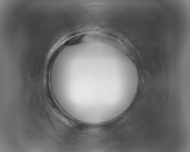 X0000080170344200701051637