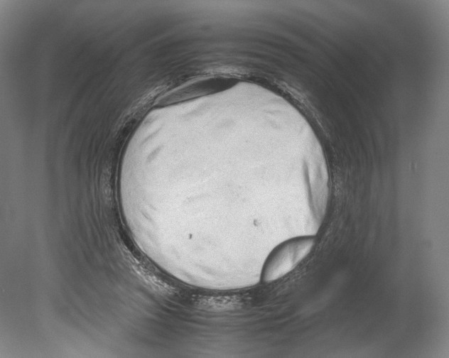 X0000080170353200701051637
