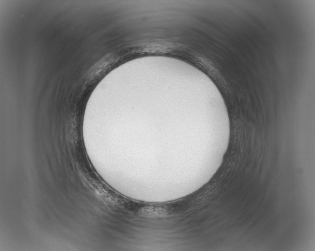 X0000080170354200701051637