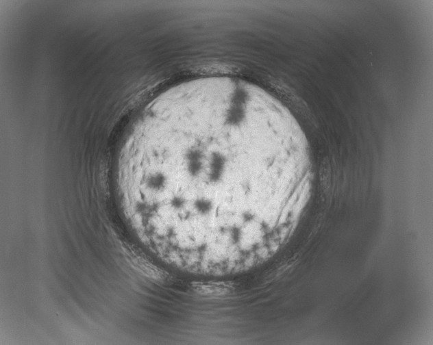 X0000080170359200701051637