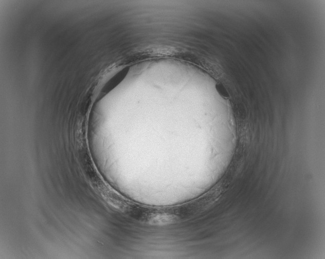 X0000080170360200701051637