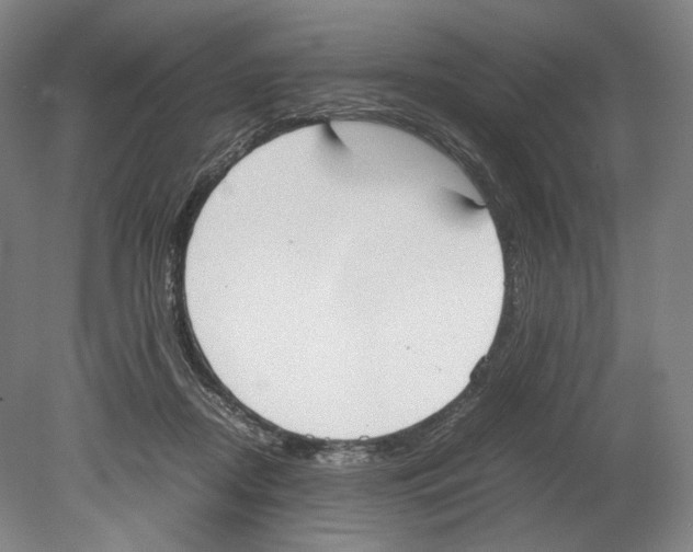 X0000080170362200701051637