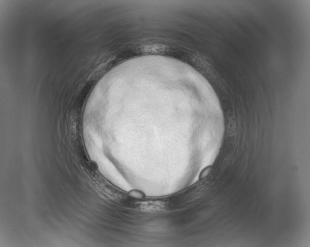 X0000080170363200701051637