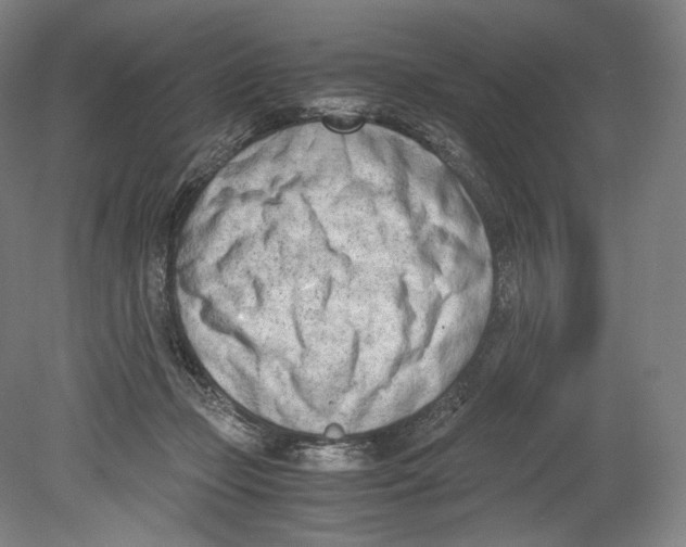 X0000080170365200701051637