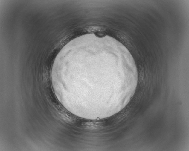 X0000080170367200701051637