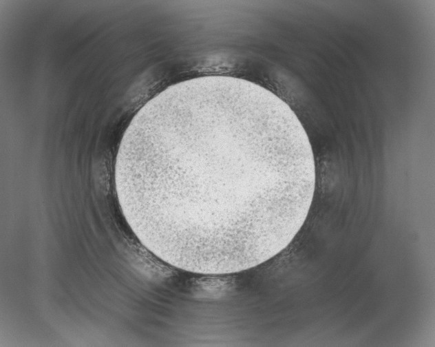 X0000080170370200701051637