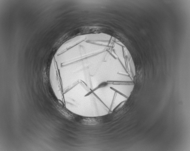 X0000080170381200701051637