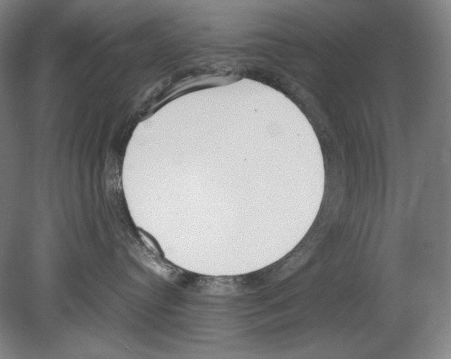 X0000080170384200701051637