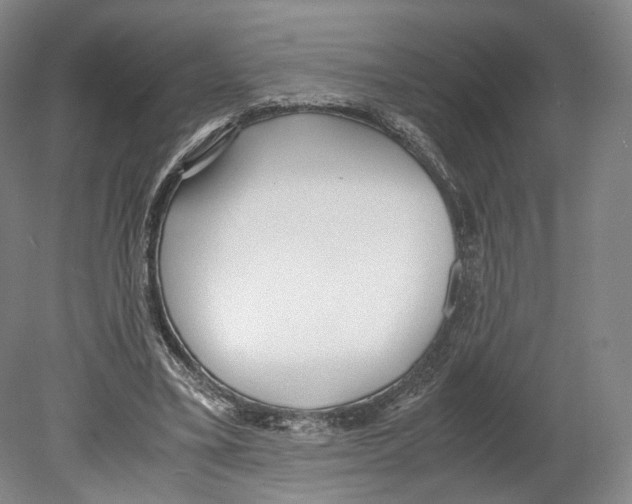 X0000080170395200701051636