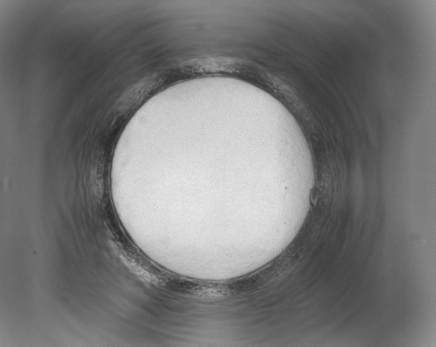 X0000080170402200701051636