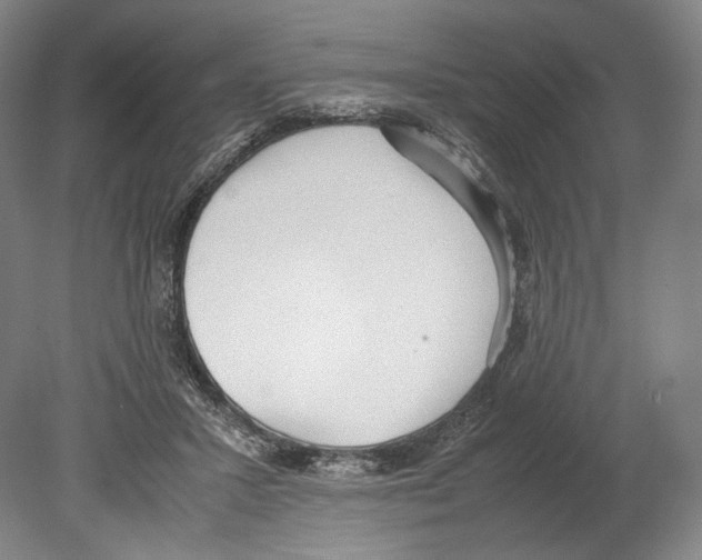 X0000080170407200701051636