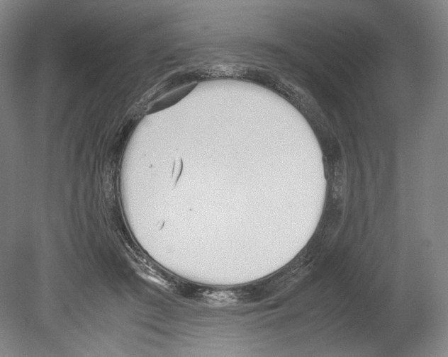 X0000080170409200701051636