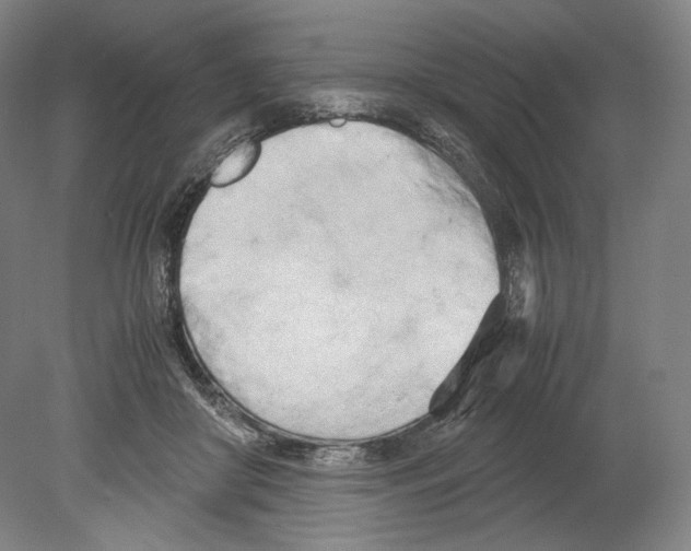 X0000080170410200701051636