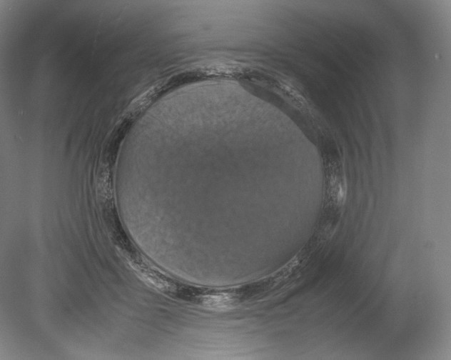 X0000080170411200701051636