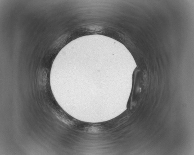 X0000080170412200701051636