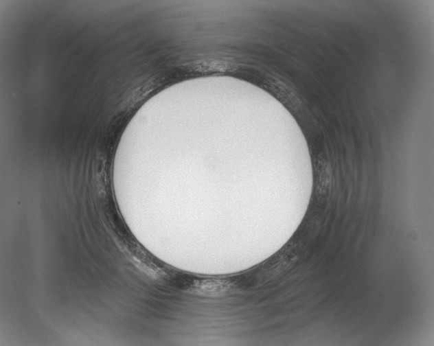 X0000080170414200701051636