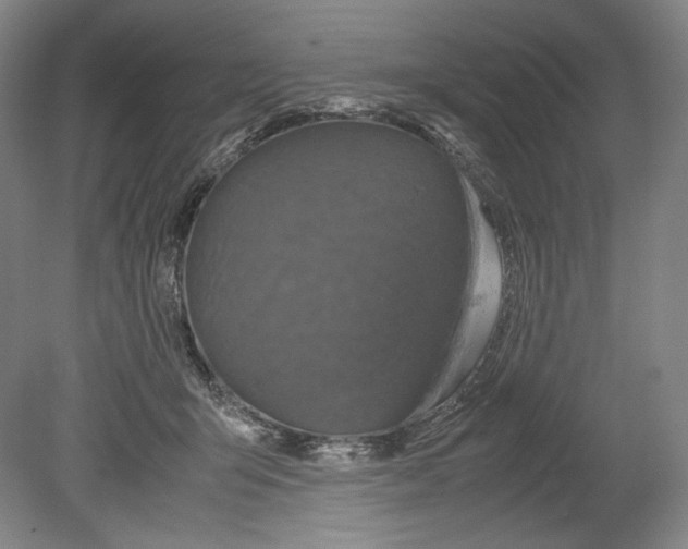 X0000080170415200701051636