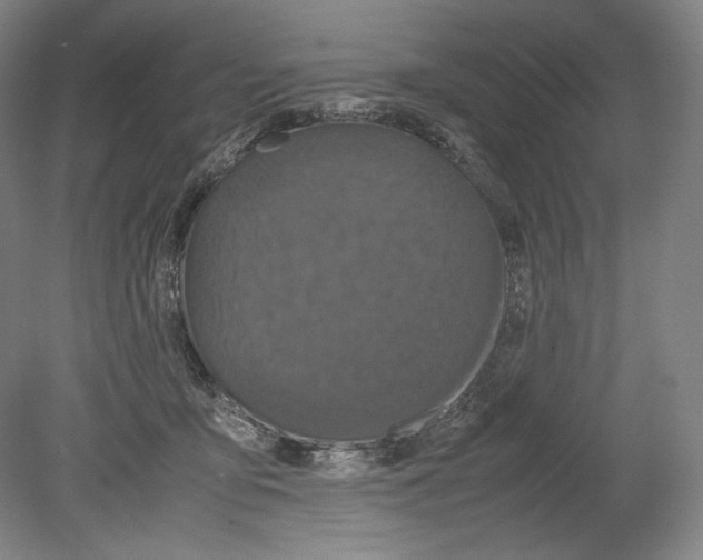 X0000080170419200701051636