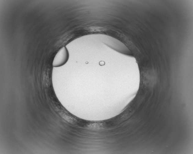 X0000080170422200701051636