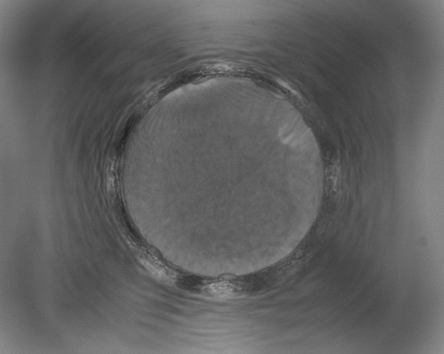 X0000080170423200701051636
