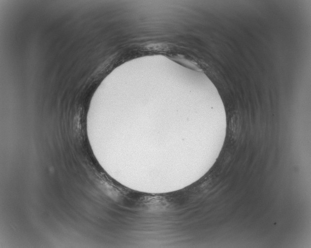 X0000080170424200701051636