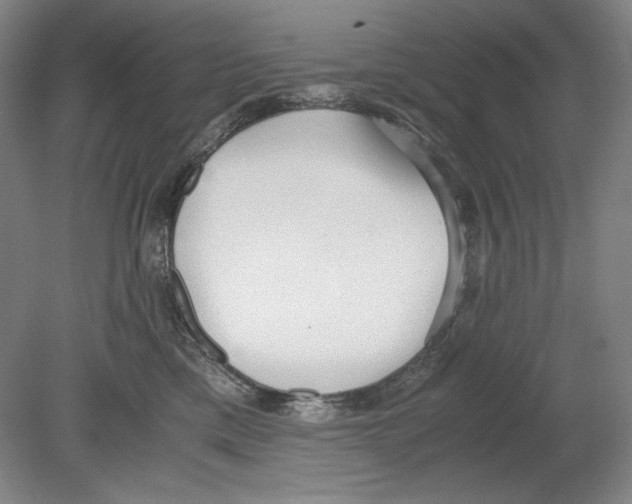 X0000080170425200701051636