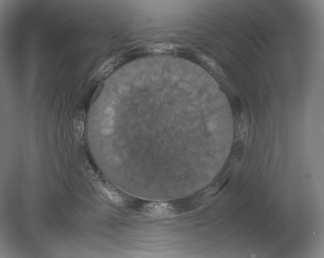 X0000080170427200701051636