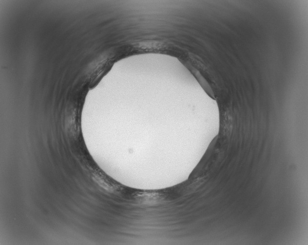 X0000080170428200701051636