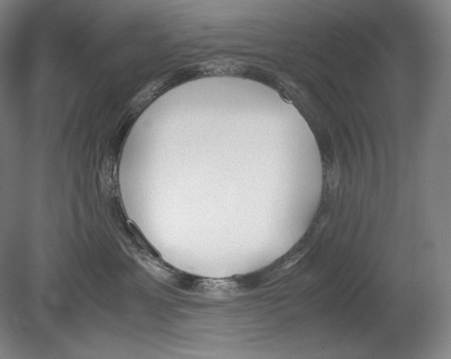 X0000080170429200701051636