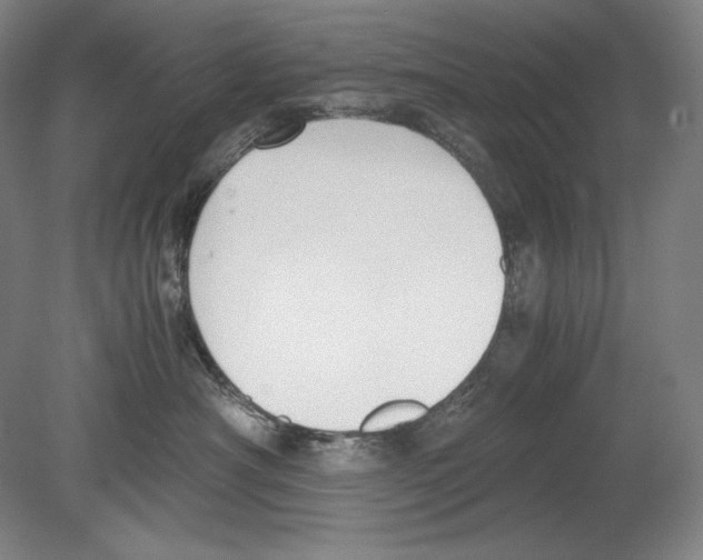X0000080170430200701051636
