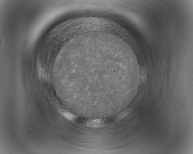 X0000080170431200701051636