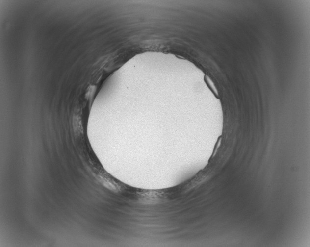 X0000080170432200701051636