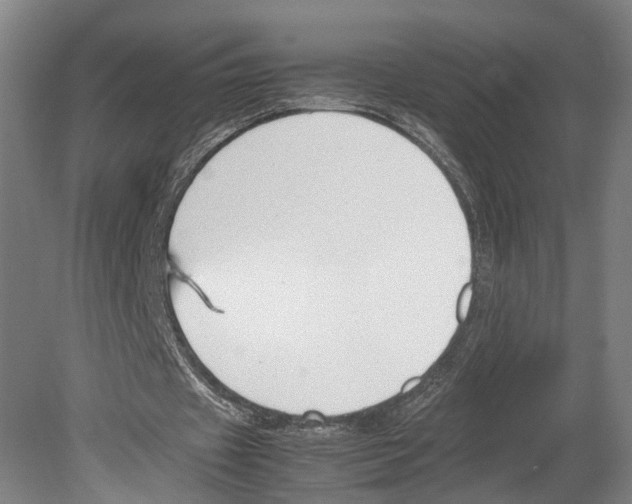 X0000080170433200701051635