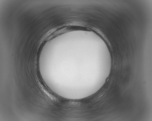 X0000080170437200701051635