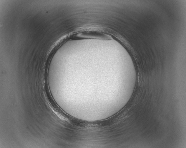 X0000080170438200701051635