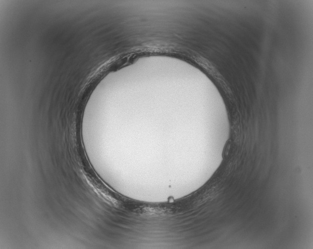 X0000080170442200701051635
