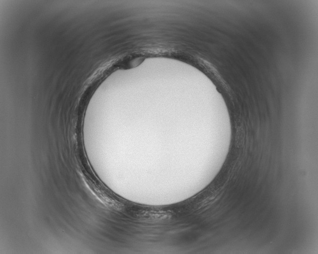 X0000080170443200701051635