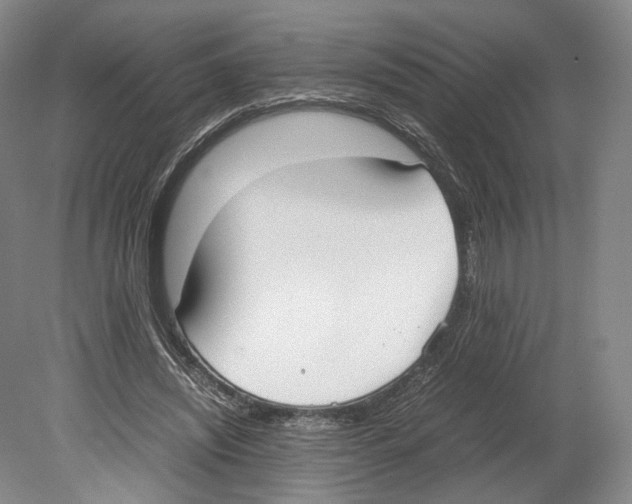 X0000080170444200701051635