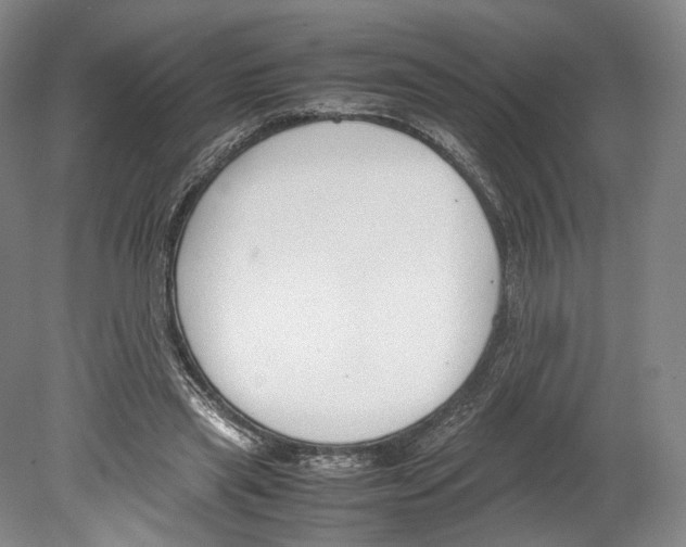 X0000080170445200701051635