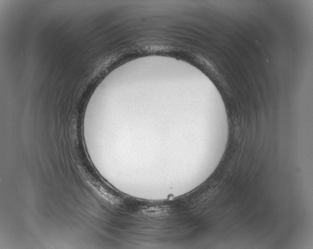 X0000080170447200701051635
