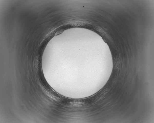 X0000080170448200701051635