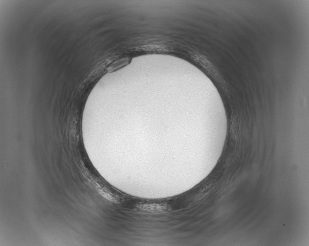 X0000080170449200701051635
